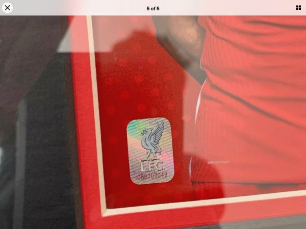 Liverpool Football Shirts Signed by Mohamed Salah, & Firmino 20/21 Dual  Professionally Framed